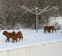 /album/fotogaleria/zima-w-jpg/